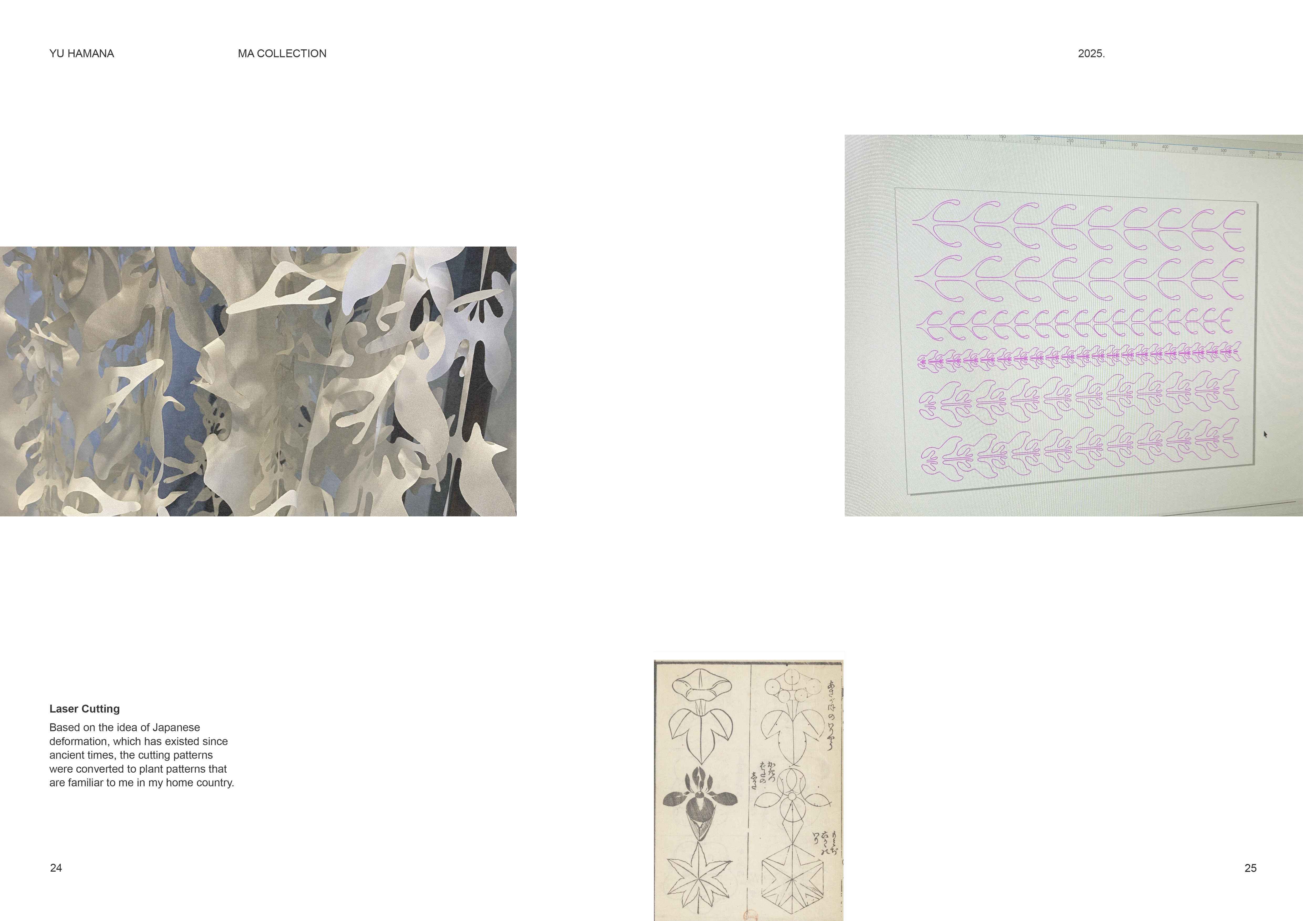 Design Development 13