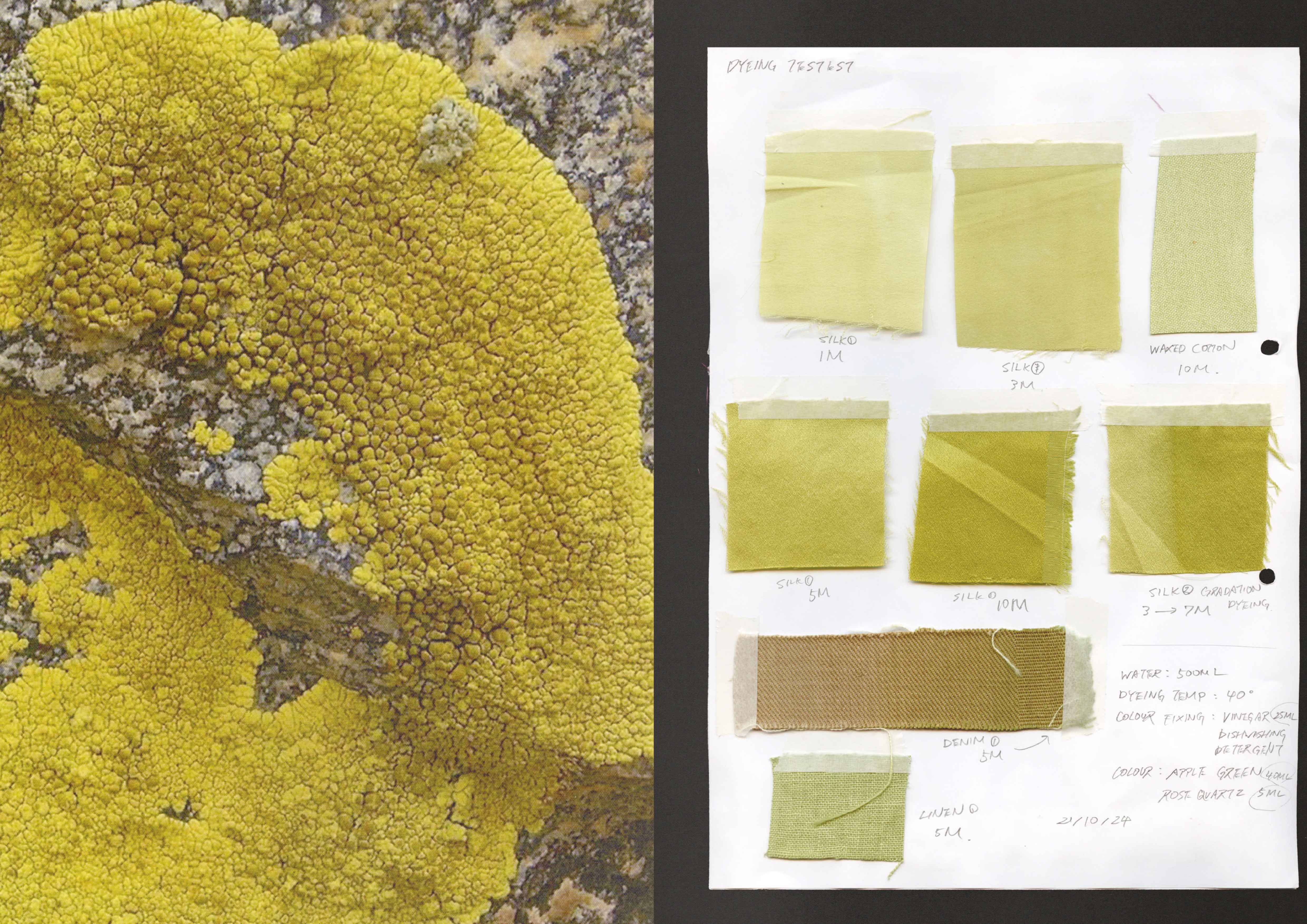 Design Development 20
